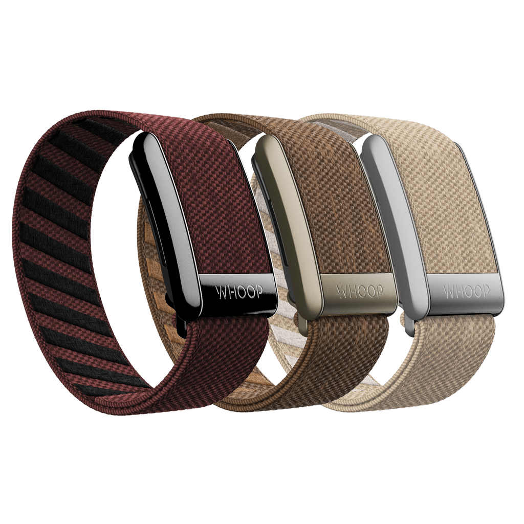 4.0 Autumn Hues Pack
