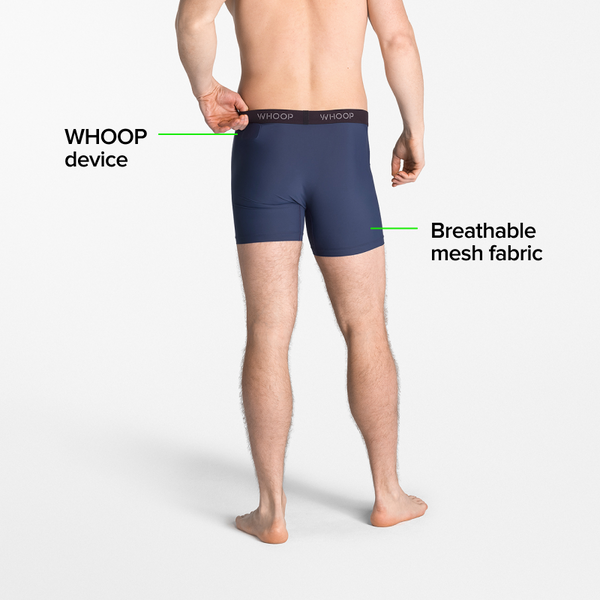 Essential Boxer | Midnight