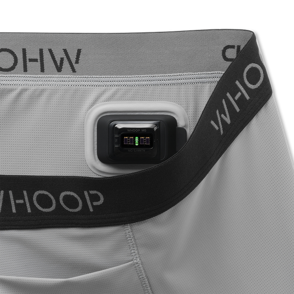 Essential Boxer | Grey