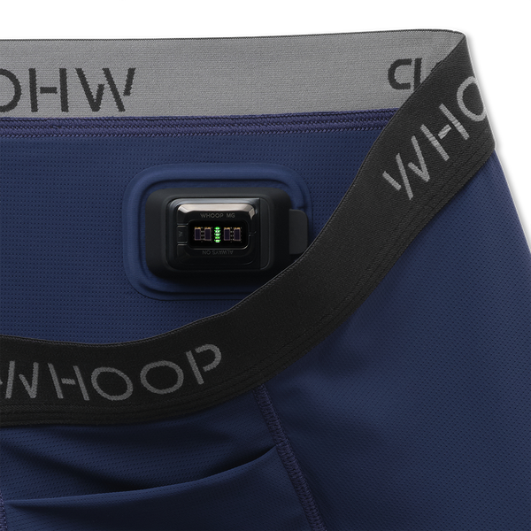 Essential Boxer | Midnight