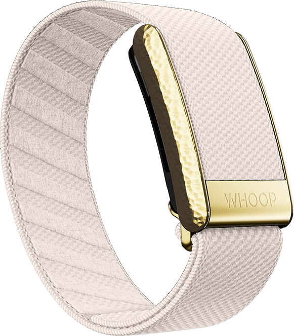 4.0 Champagne with Hammered Gold Luxe Band