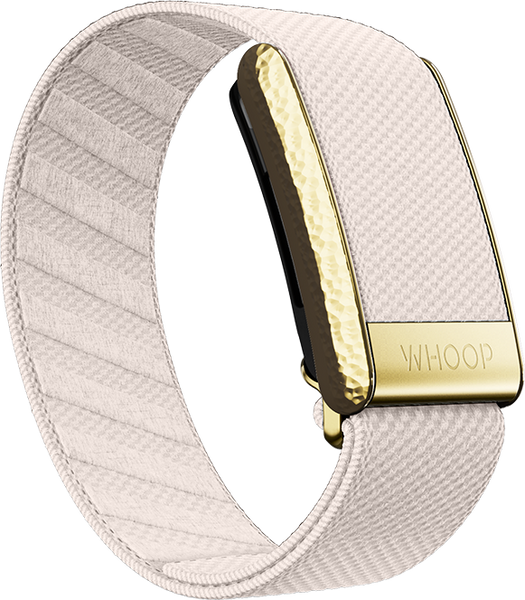 4.0 Champagne with Hammered Gold Luxe Band