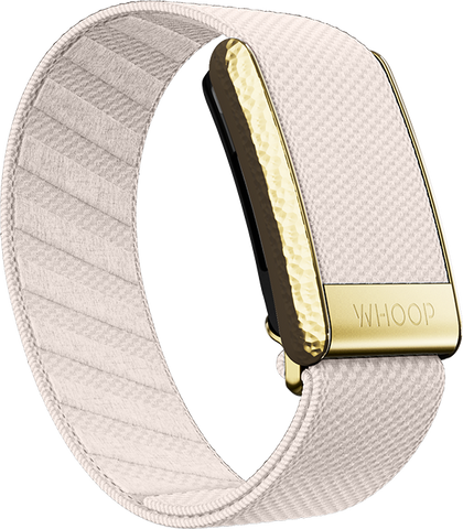 4.0 Champagne with Hammered Gold Luxe Band