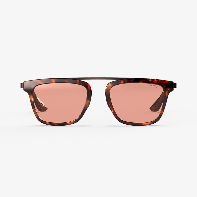 Spindle Tortoise Frames with Evening Lenses