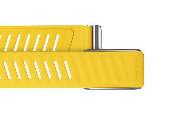 4.0 Flash SportFlex Band