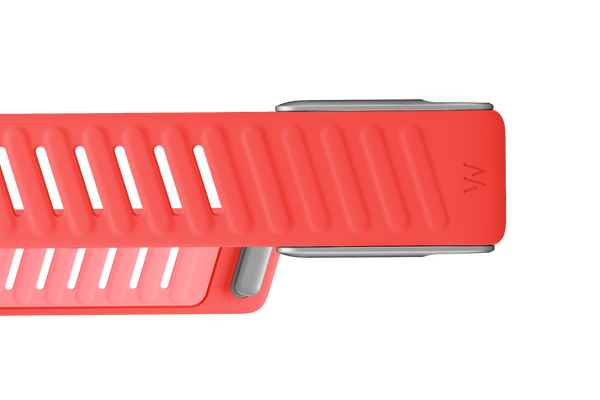 MG SportFlex Band | Bounce
