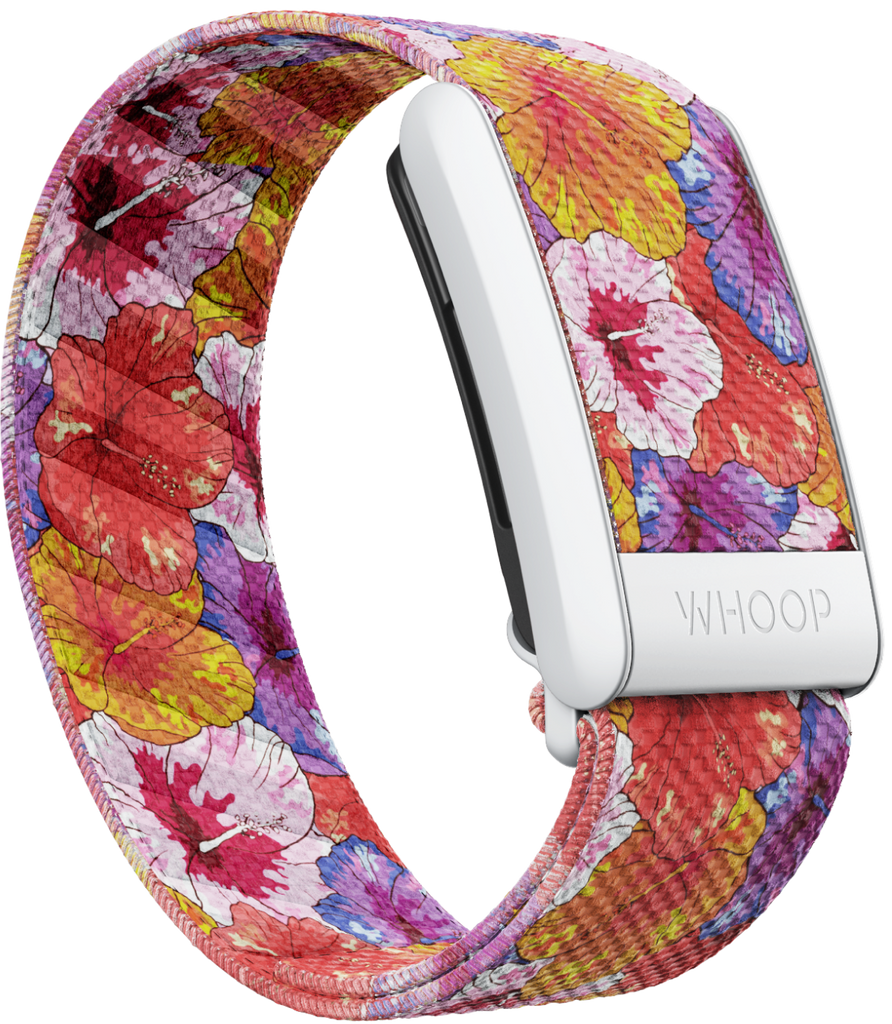 4.0 Hibiscus SuperKnit Band