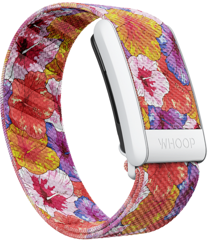 4.0 Hibiscus SuperKnit Band