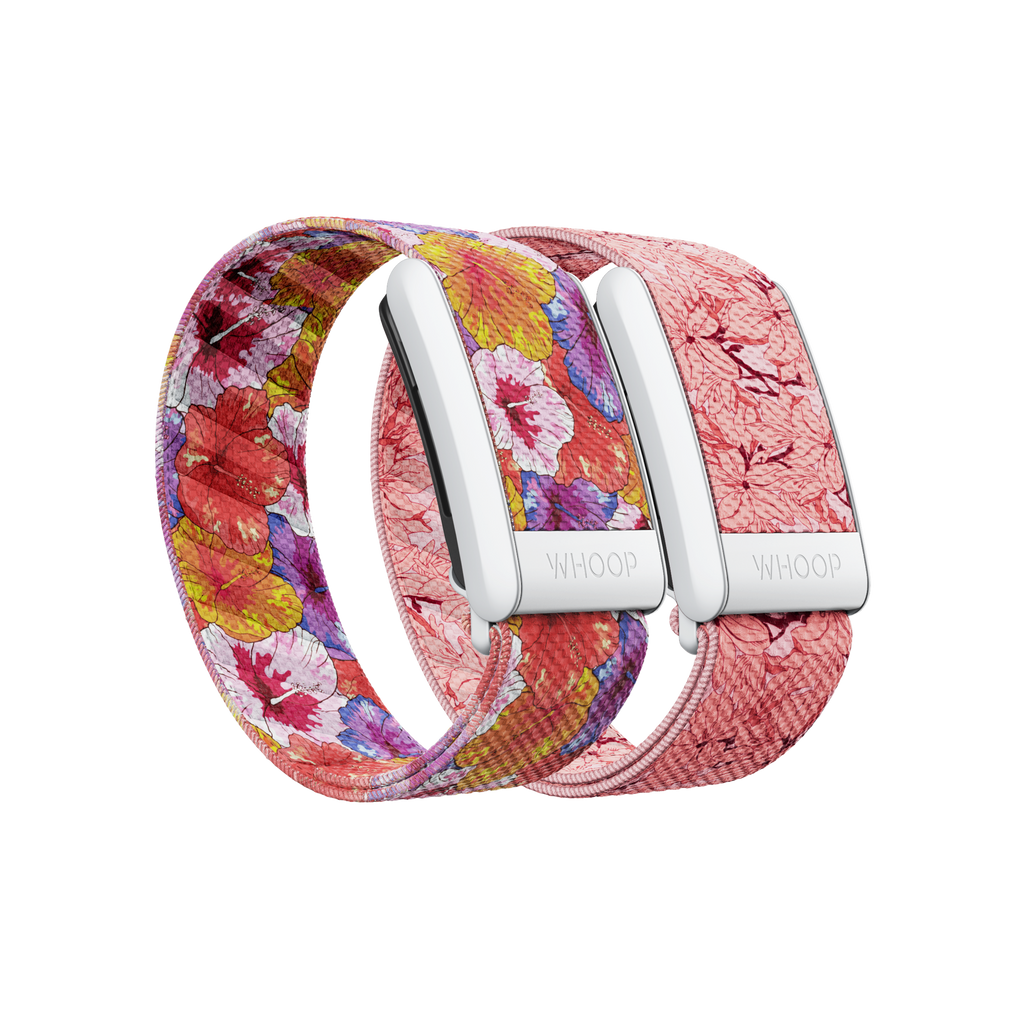 4.0 Bloom SuperKnit Band Pack