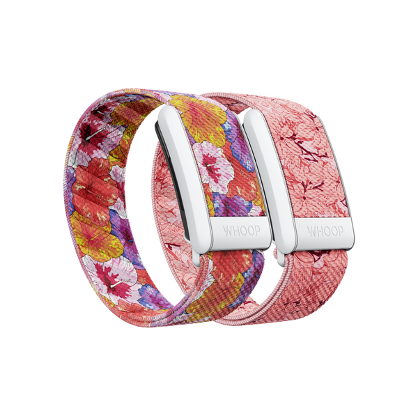 4.0 Bloom SuperKnit Band Pack