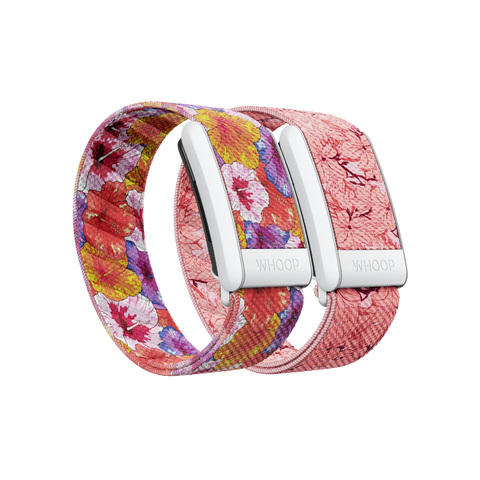 4.0 Bloom SuperKnit Band Pack