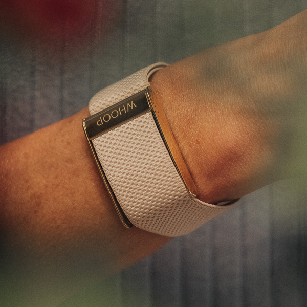 4.0 Champagne with Hammered Gold Luxe Band