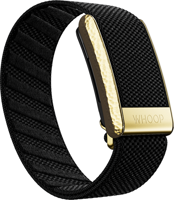 4.0 Onyx with Hammered Gold Luxe Band