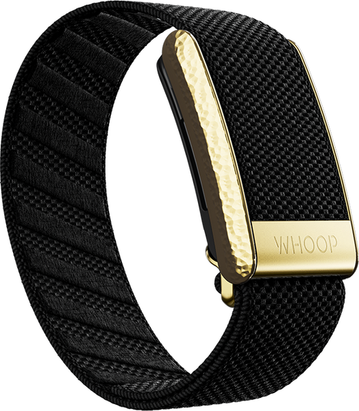 4.0 Onyx with Hammered Gold Luxe Band