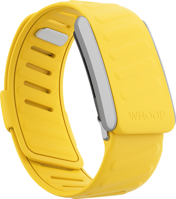 4.0 Flash SportFlex Band