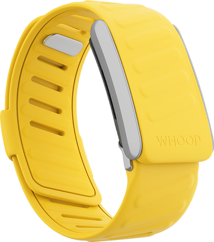 4.0 Flash SportFlex Band