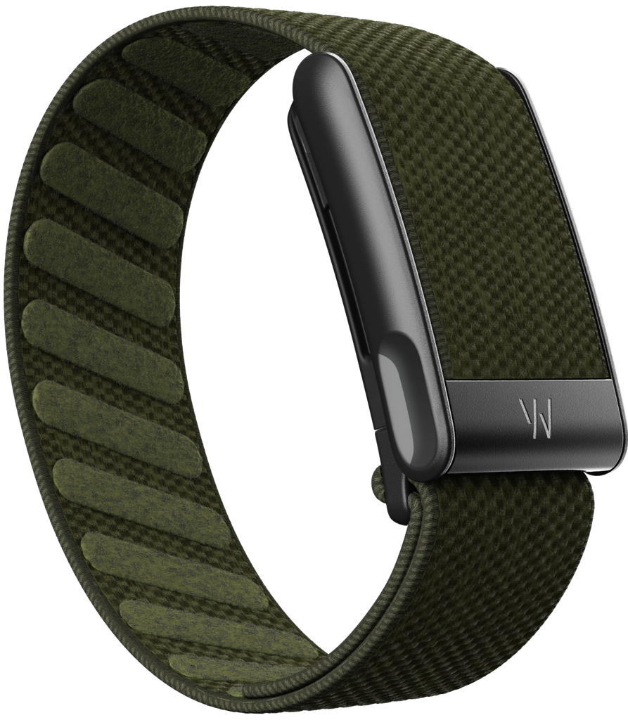 MG SuperKnit Band | Forest