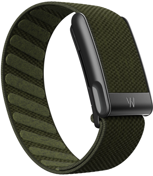 MG SuperKnit Band | Forest