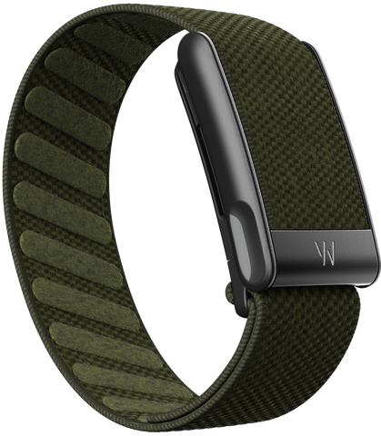 MG SuperKnit Band | Forest