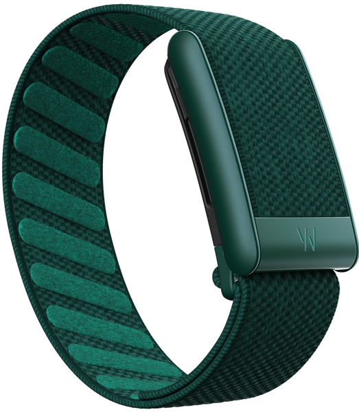 5.0 SuperKnit Band | Emerald