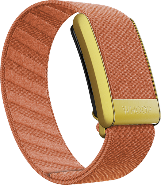 Thrive SuperKnit Band