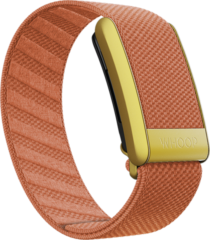 Thrive SuperKnit Band