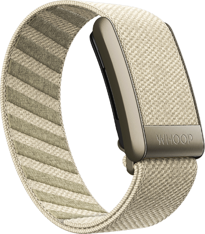 Stone SuperKnit Bandws