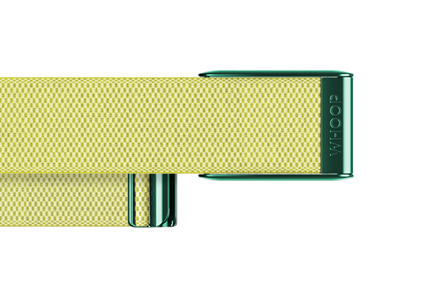 4.0 Daffodil SuperKnit Band