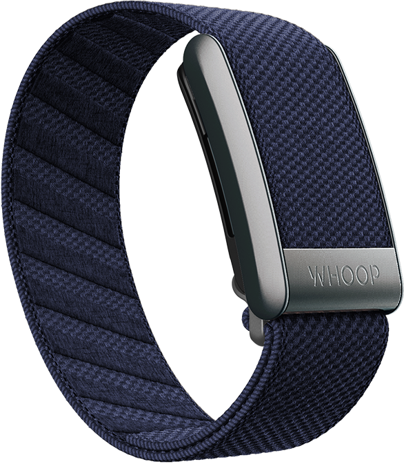 Blue Jay Supernit Bandws
