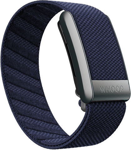 Blue Jay Supernit Bandws