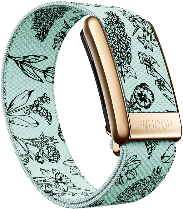4.0 Bouquet Superknit Luxe Band