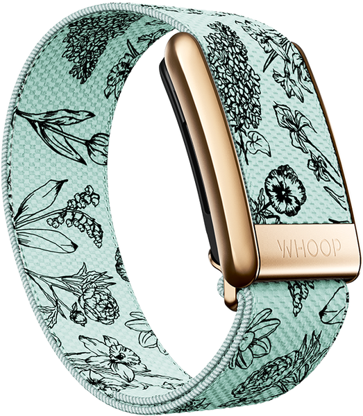 4.0 Bouquet Superknit Luxe Band