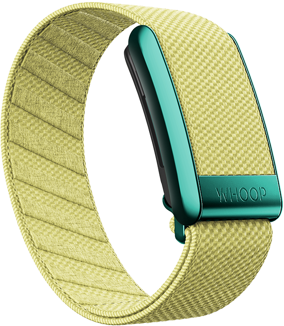 4.0 Daffodil SuperKnit Band