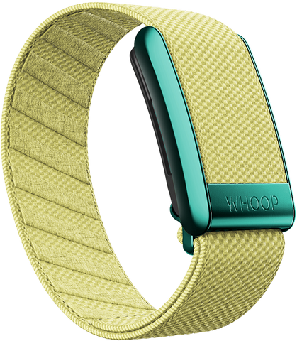 4.0 Daffodil SuperKnit Band