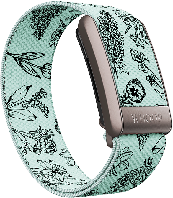 4.0 Garden SuperKnit Band