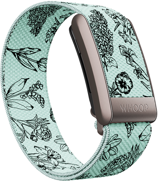4.0 Garden SuperKnit Band