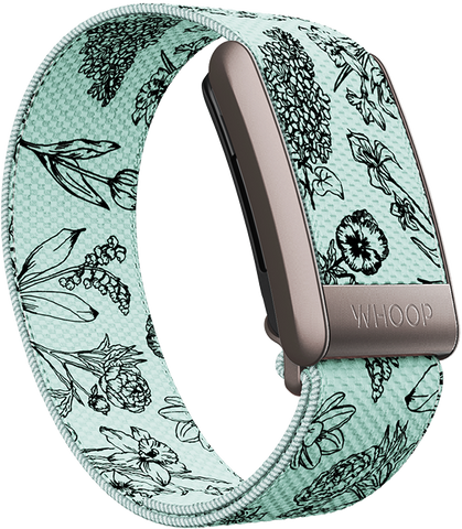 4.0 Garden SuperKnit Band