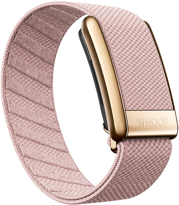 4.0 RoseBud Superknit Luxe Band