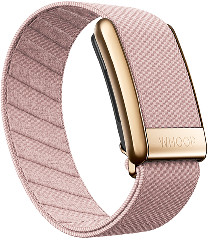4.0 RoseBud Superknit Luxe Band