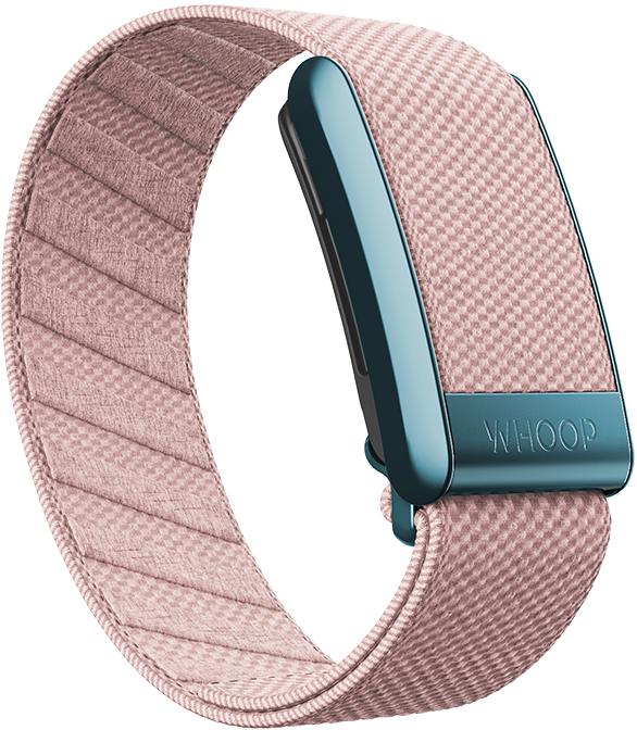 4.0 Tulip SuperKnit Band