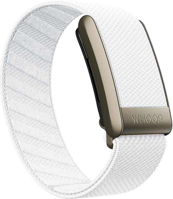 4.0 Ivory Superknit Band