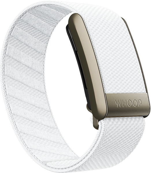 4.0 Ivory Superknit Band