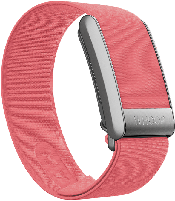 4.0 Frisbee Hydroknit Band