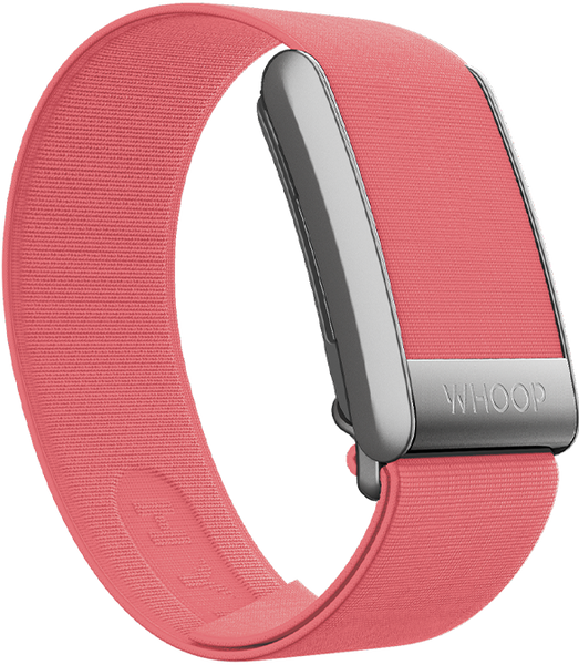 4.0 Frisbee Hydroknit Band