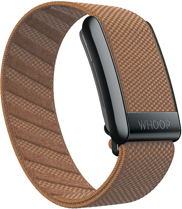 4.0 Cider SuperKnit Band