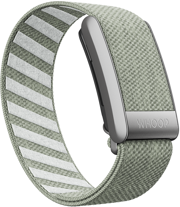 4.0 Green Tea SuperKnit Band