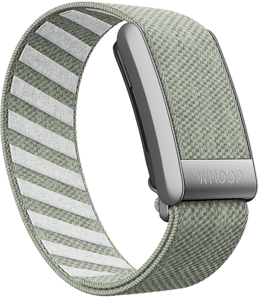 4.0 Green Tea SuperKnit Band