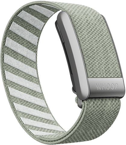 4.0 Green Tea SuperKnit Band