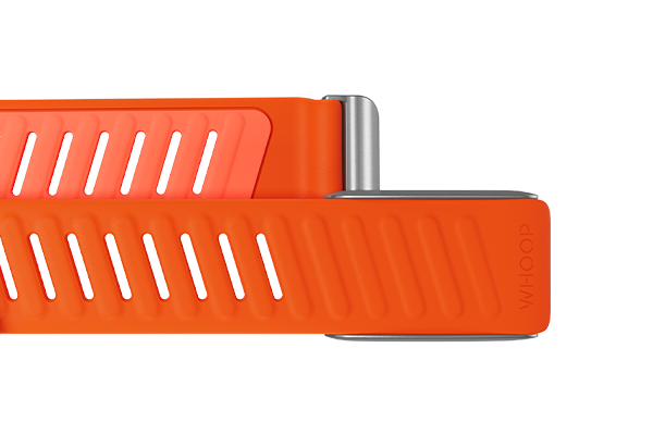 4.0 Surge SportFlex Band