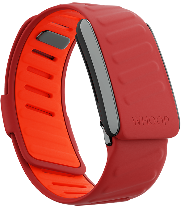 4.0 Mirage SportFlex Band